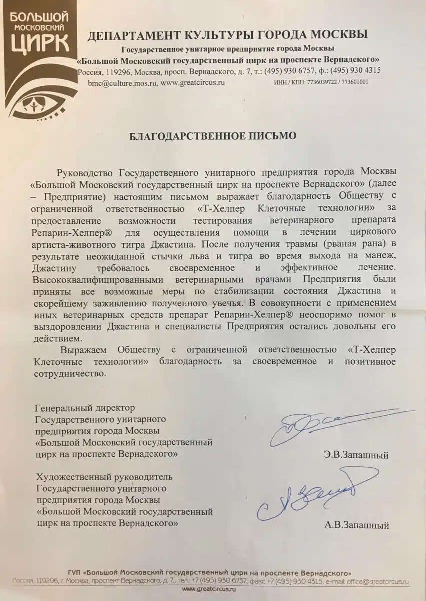 Рваная рана задней ноги с повреждением сухожилия, после